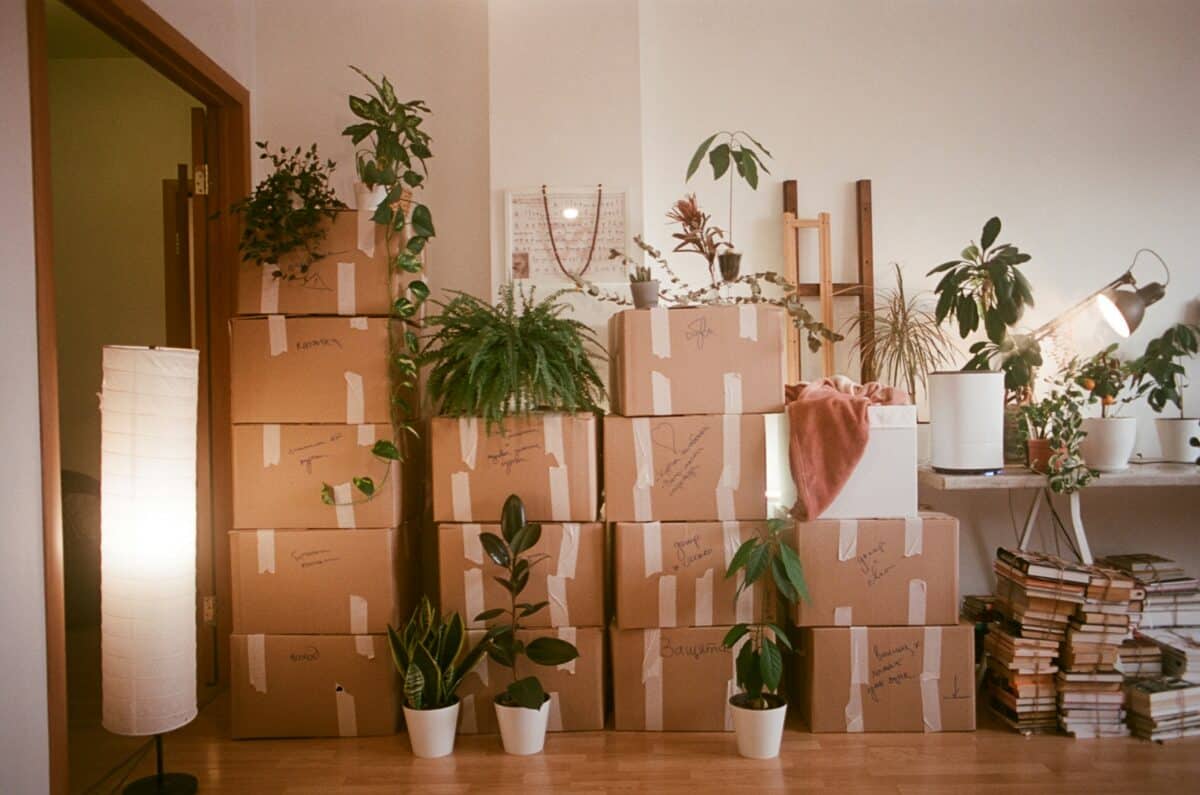 A neatly stacked wall of taped cardboard moving boxes labeled by room surrounded by potted houseplants in a living room.